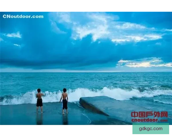 全球冲浪高手争霸：浪潮之巅