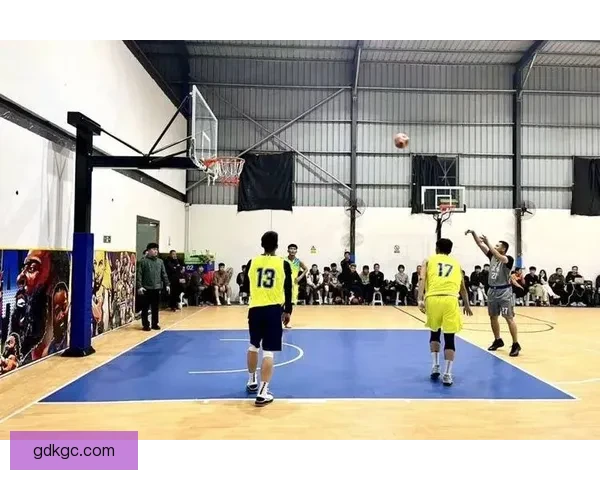 全面解析篮球联赛:球员、球队、战术、技术、规则及赛事管理等方方面面 全面解析篮球联赛:球员、球队、战术、技术、规则及赛事管理等方方面面