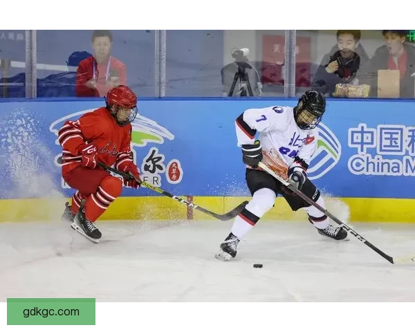 冰球杯赛：无尽激情的竞技狂欢