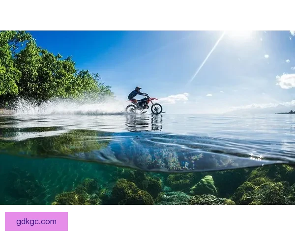 探寻冲浪文化的源远流长 探寻冲浪文化的源远流长