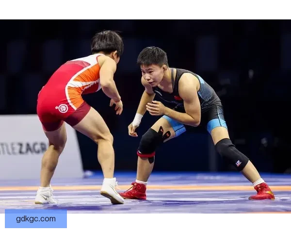 摔跤世界巅峰:挑战与荣耀 摔跤世界巅峰:挑战与荣耀