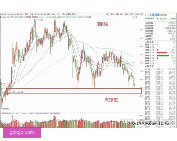 深度解析跳水盘口实战技巧