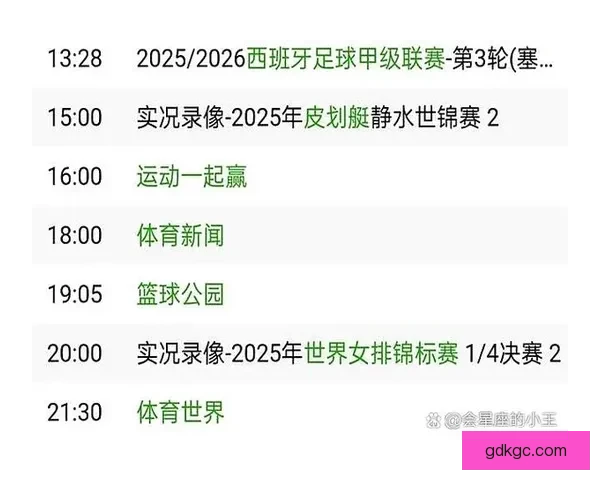 皮划艇实时比分，掌握最新结果