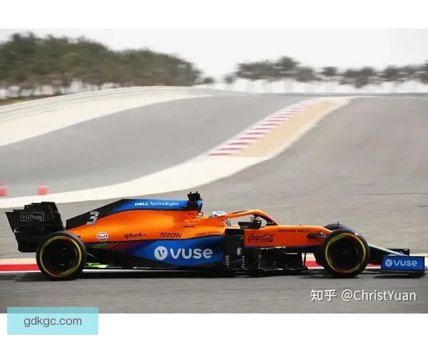 F1投注小白必备：五大技巧解析