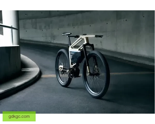 极速飞驰 山地自行车锦标赛触目惊心 绝对精彩