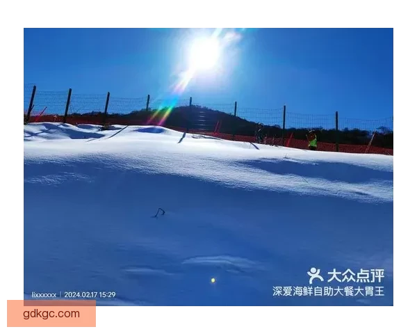 滑雪对战分析：策略、技术与胜利之道