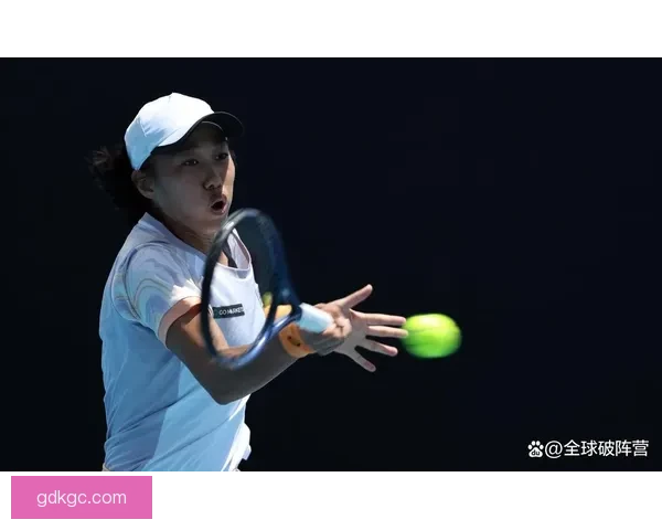 网球冠军：勇夺巅峰，创造传奇